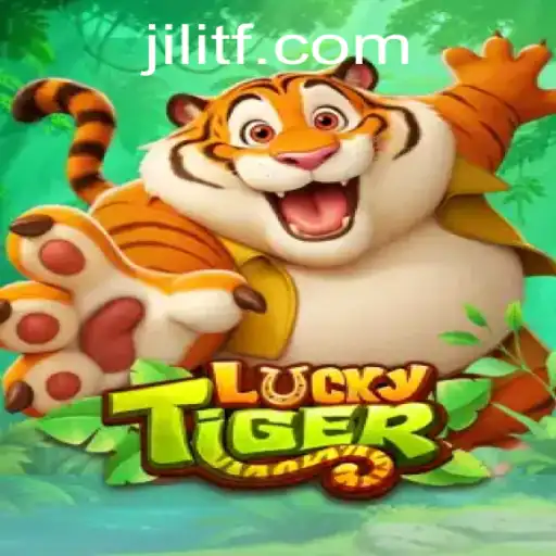 TFJILI.COM About Us